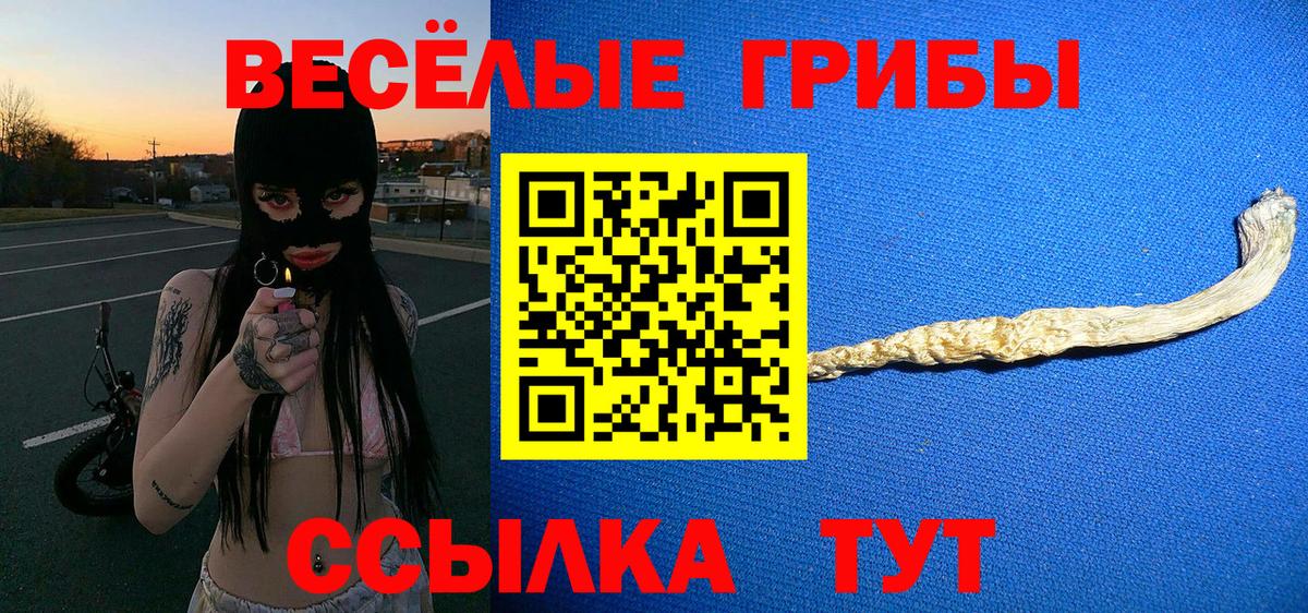 Кировск  Псилоцибиновые грибы Psilocybine cubensis  Вход с VPN  Псилоцибиновые грибы Cubensis 